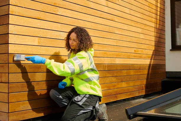 Affordable Siding Repair and Maintenance Services in Windsor, CO